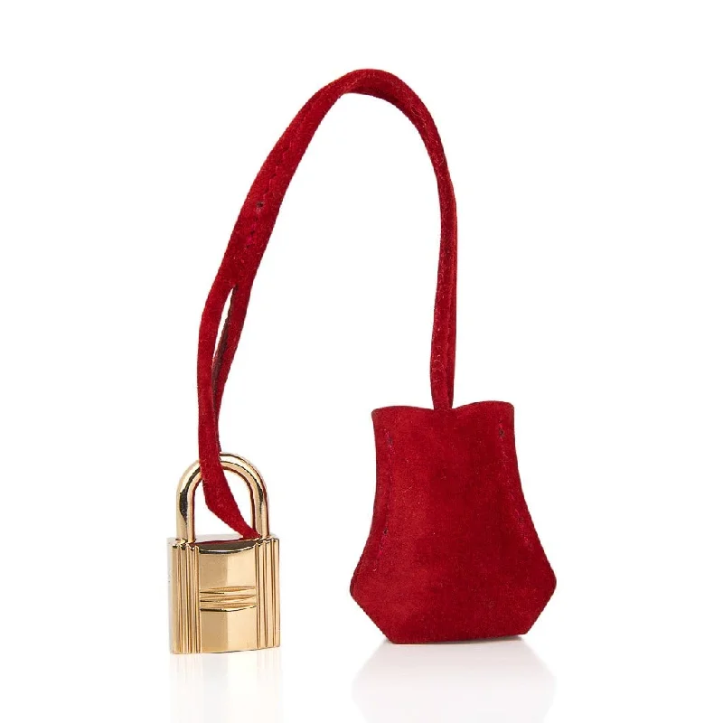 Hermes Birkin 25 Doblis Bag Rouge Vif Suede Gold Hardware